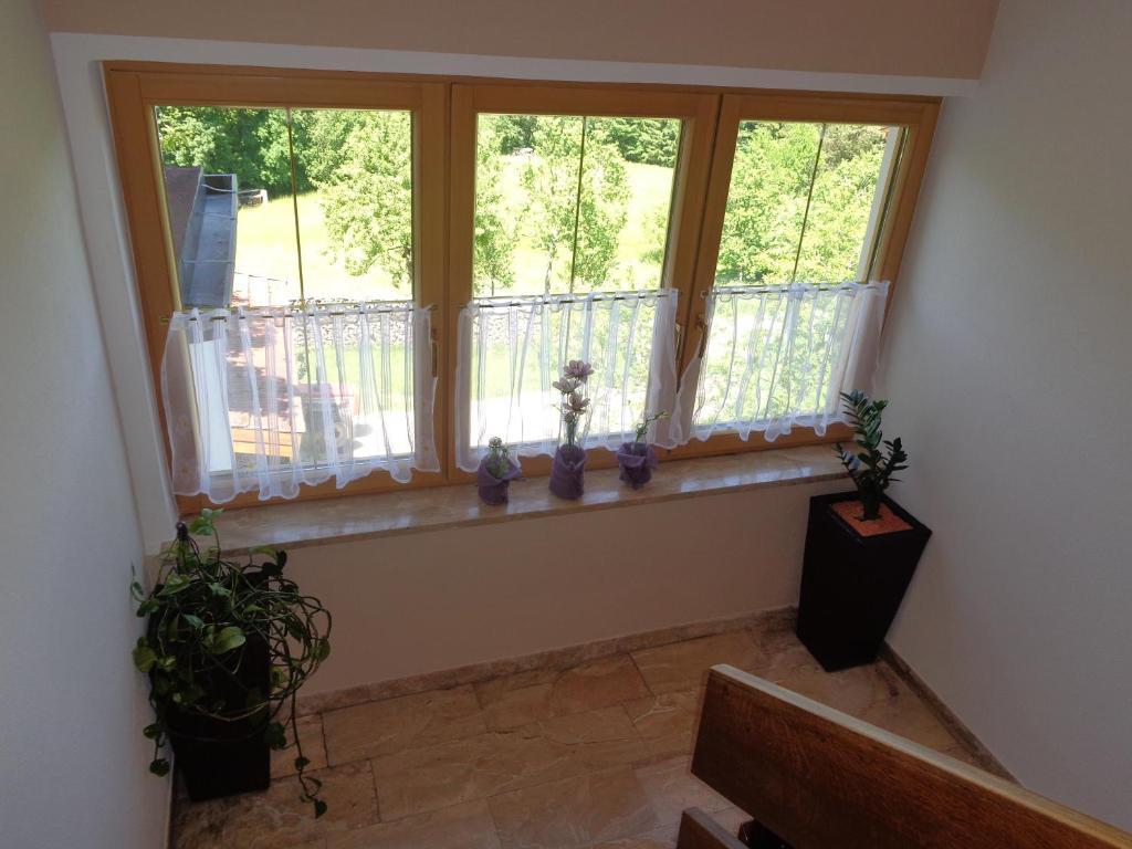 מלון תיירזה Haus Enzian מראה חיצוני תמונה